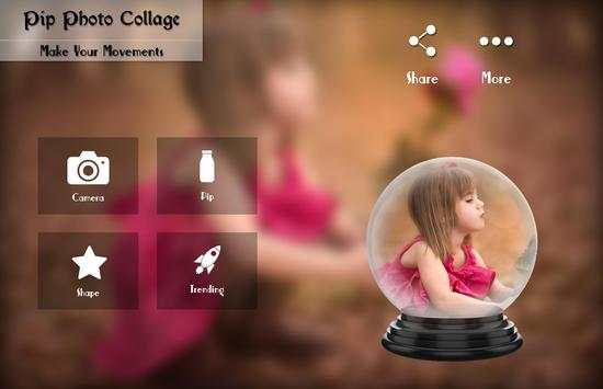 PIP Camera screenshot 1