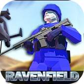 Guide For Raven  Field 1.0