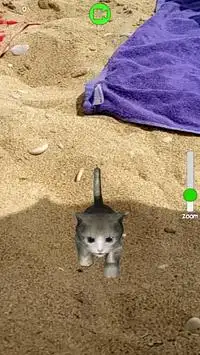 Homeless Cat : take care this virtual pet screenshot 7