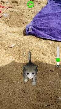 Homeless Cat : take care this virtual pet screenshot 7