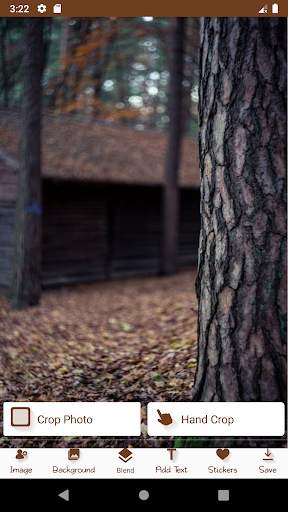 Forest Blend screenshot 3