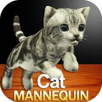 Cat Mannequin