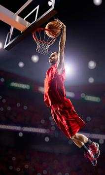 Basketball Wallpapers screenshot 7