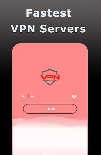 VPN BOSS screenshot 2