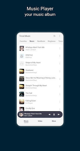 Tincat Player - Music & Video screenshot 2