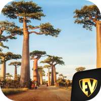 Senegal Travel & Explore, Offline Country Guide logo