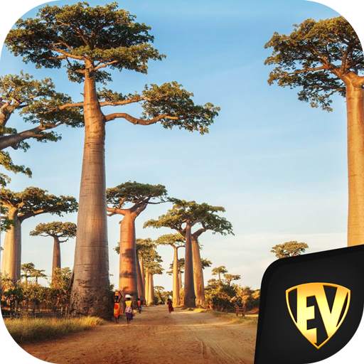 Senegal Travel & Explore, Offline Country Guide 2.0.6