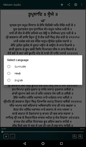 Nitnem (Sundar Gutka) With Audio screenshot 7