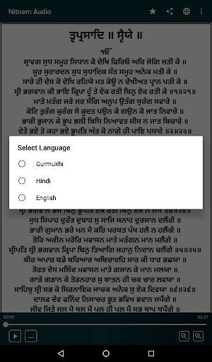 Nitnem (Sundar Gutka) With Audio screenshot 7