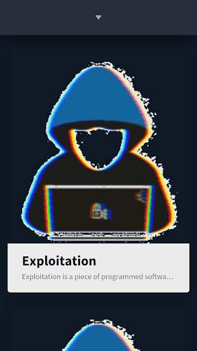 Learn Ethical Hacking Course Offline screenshot 6