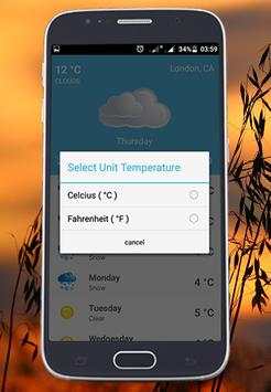 Local Weather screenshot 5