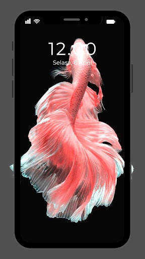 Wallpaper Ikan Koi Hidup screenshot 6