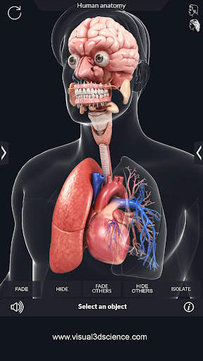 My Organs Anatomy screenshot 4