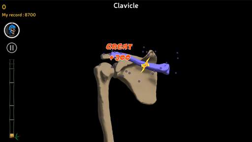Anatomy Ninja Upper Limb screenshot 2
