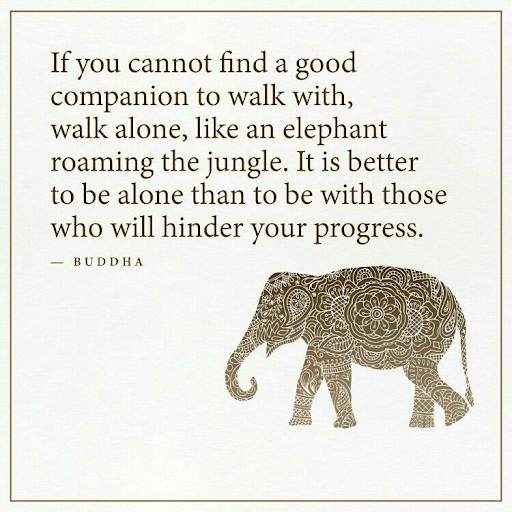 Wisdom Quotes : Wise Words To Live By screenshot 7