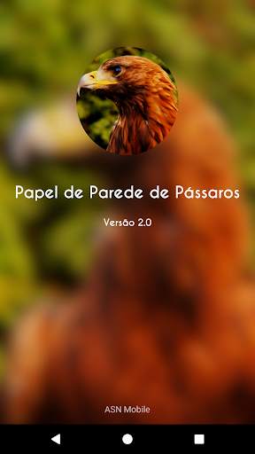HQ Papel de Parede de Pássaros स्क्रीनशॉट 1