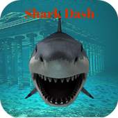 Shark  Rampage Gameshark 1.0.0