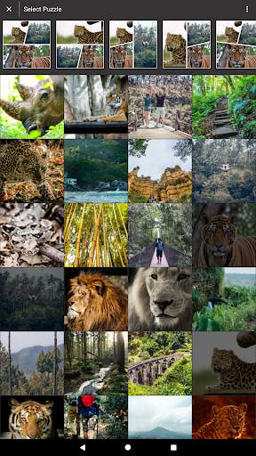 PhotoPuzzly  - Photo Collage Maker - Photo Editor screenshot 9