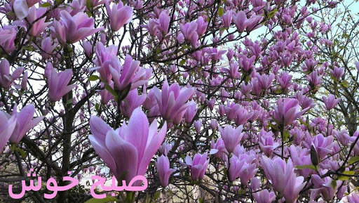 صبح بخیر v4 screenshot 2