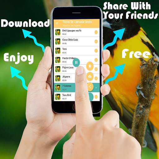Free Bird Songs स्क्रीनशॉट 1