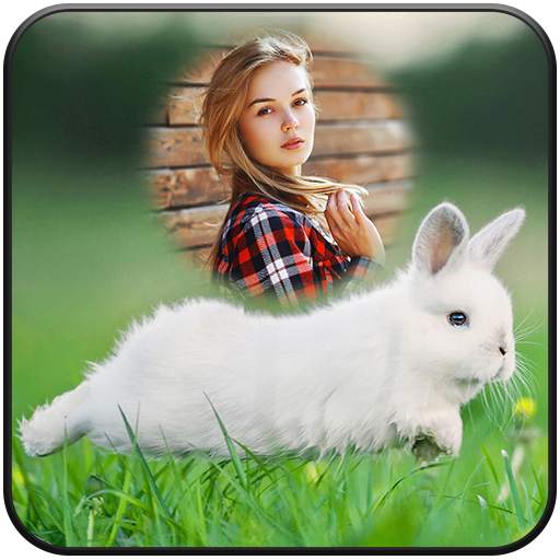 Rabbit Photo Frames 1.4