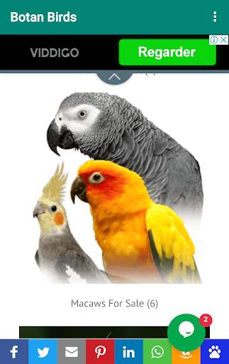 Botan Birds स्क्रीनशॉट 2