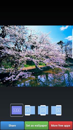Sakura Cherry Blossoms HD Wall screenshot 4