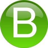 Bro Browser fast Browser 0.1