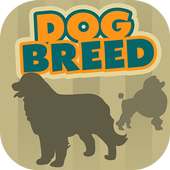 Dog Breeds Fun Trivia Quiz logo