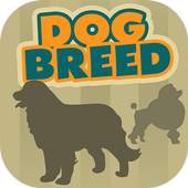 Dog Breeds Fun Trivia Quiz 5.0