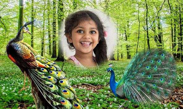 Peacock Photo Frames screenshot 4