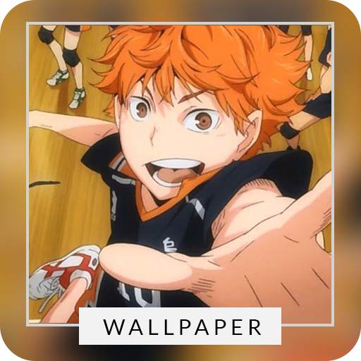 Haikyuu Volleyball Wallpaper Background 1.2