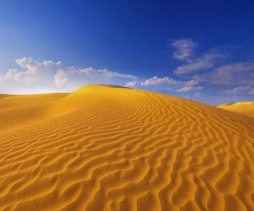 S4 Live Wallpaper screenshot 8