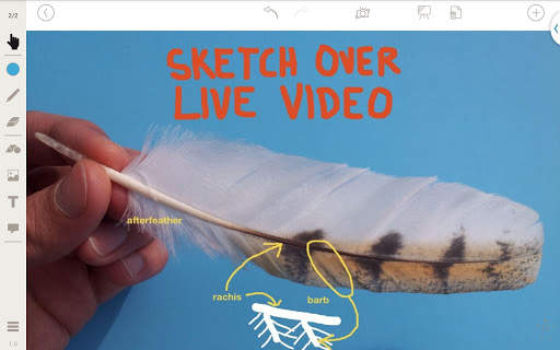 Stage: Whiteboard and Camera screenshot 6