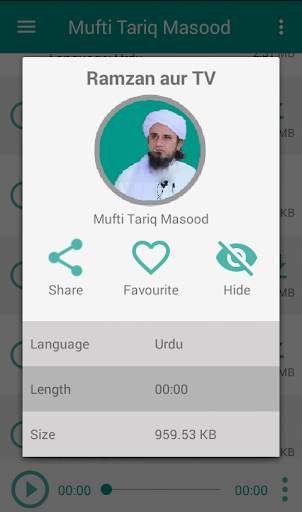 Islamic Lectures - Bayanat screenshot 6