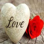 Love Status &amp; Quotes GF &amp; BF icon
