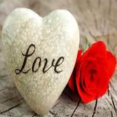 Love Status & Quotes GF & BF 1.0