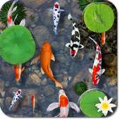 Fishes Aquarium Live Wallpaper 1.0