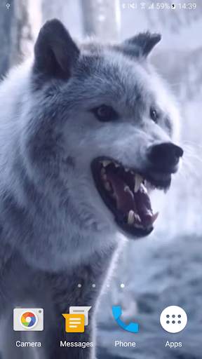 Wolf Video Live Wallpaper screenshot 6