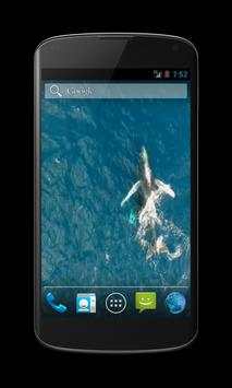 Whales Free Video Wallpaper screenshot 5