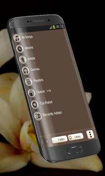 Vanilla Poweramp Skin screenshot 4