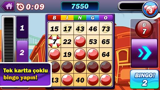 Bingo Patlaması screenshot 1