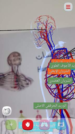 Human Anatomy AR screenshot 4