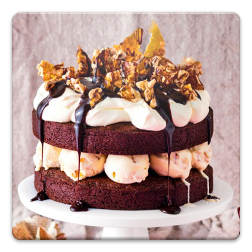 Chocolate Cake Recipes icon
