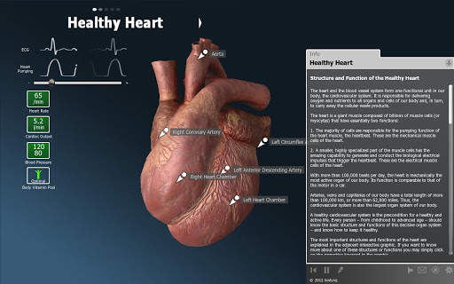 bodyxq heart screenshot 1