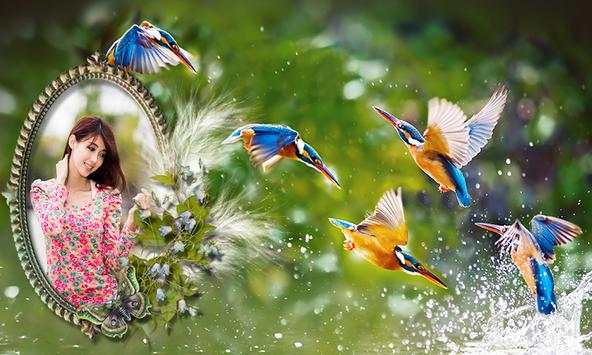 Birds Photo Frames स्क्रीनशॉट 3