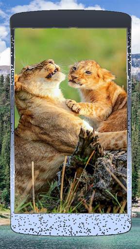 Nice Lion Wallpaper screenshot 3