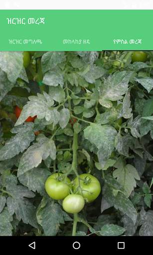 Veg Doctor screenshot 6