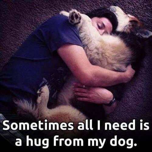Animal Lover Quotes - Dog Lover Status - Cat Love screenshot 10