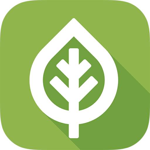 NZ Trees 9.0